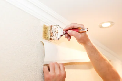 Pose de papier peint à Balaruc-le-Vieux — revêtements muraux et toiles de verre